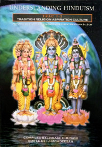 Image of Understanding Hinduism